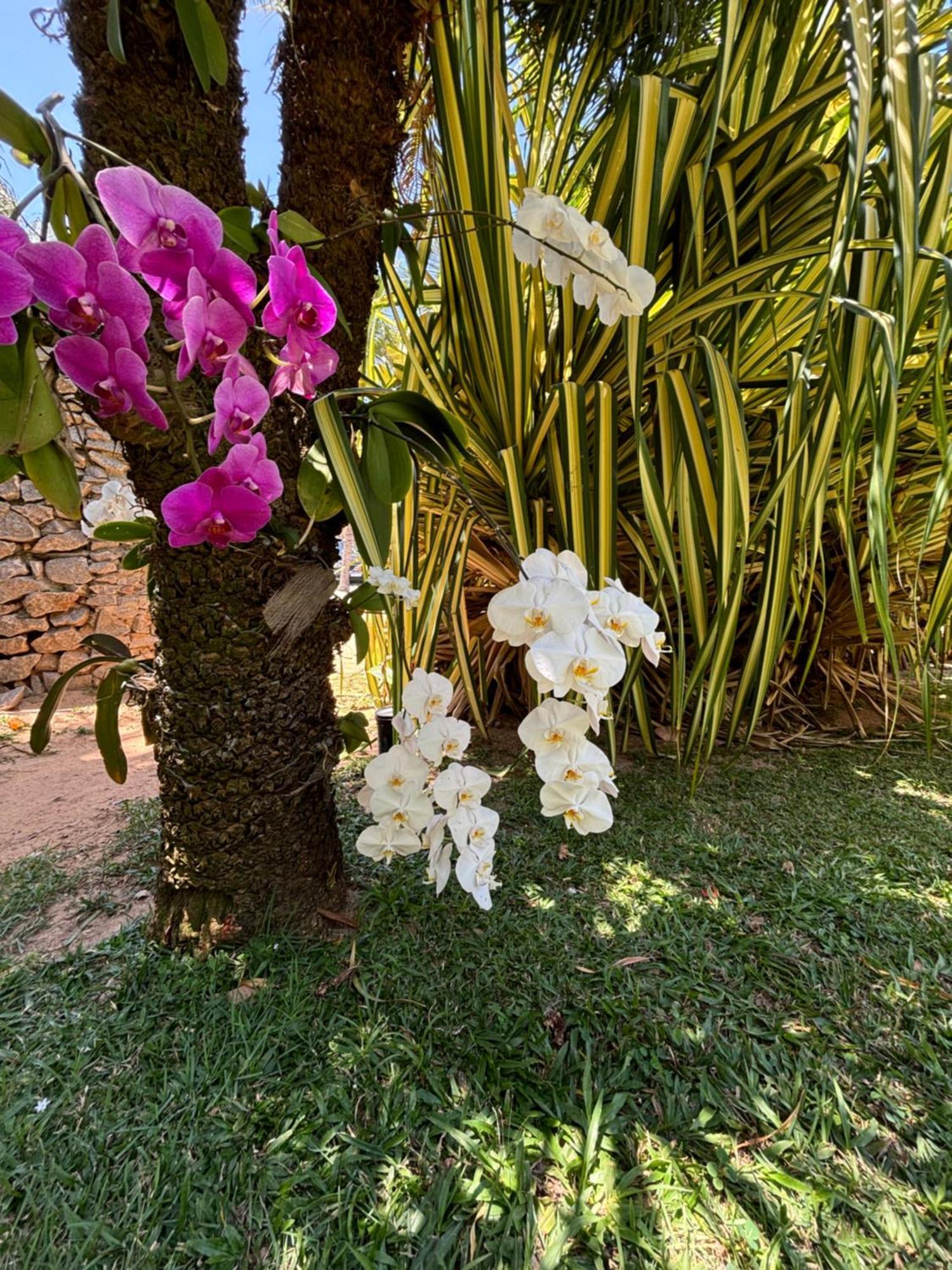 Hotel Da Pipa Praia de Pipa Exterior foto