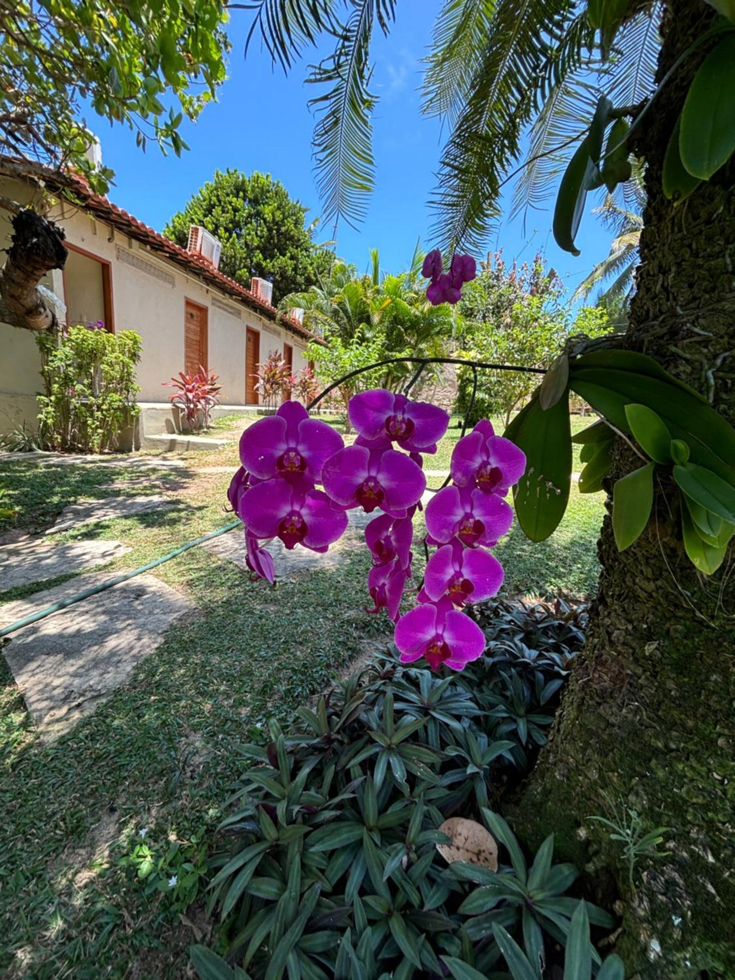 Hotel Da Pipa Praia de Pipa Exterior foto