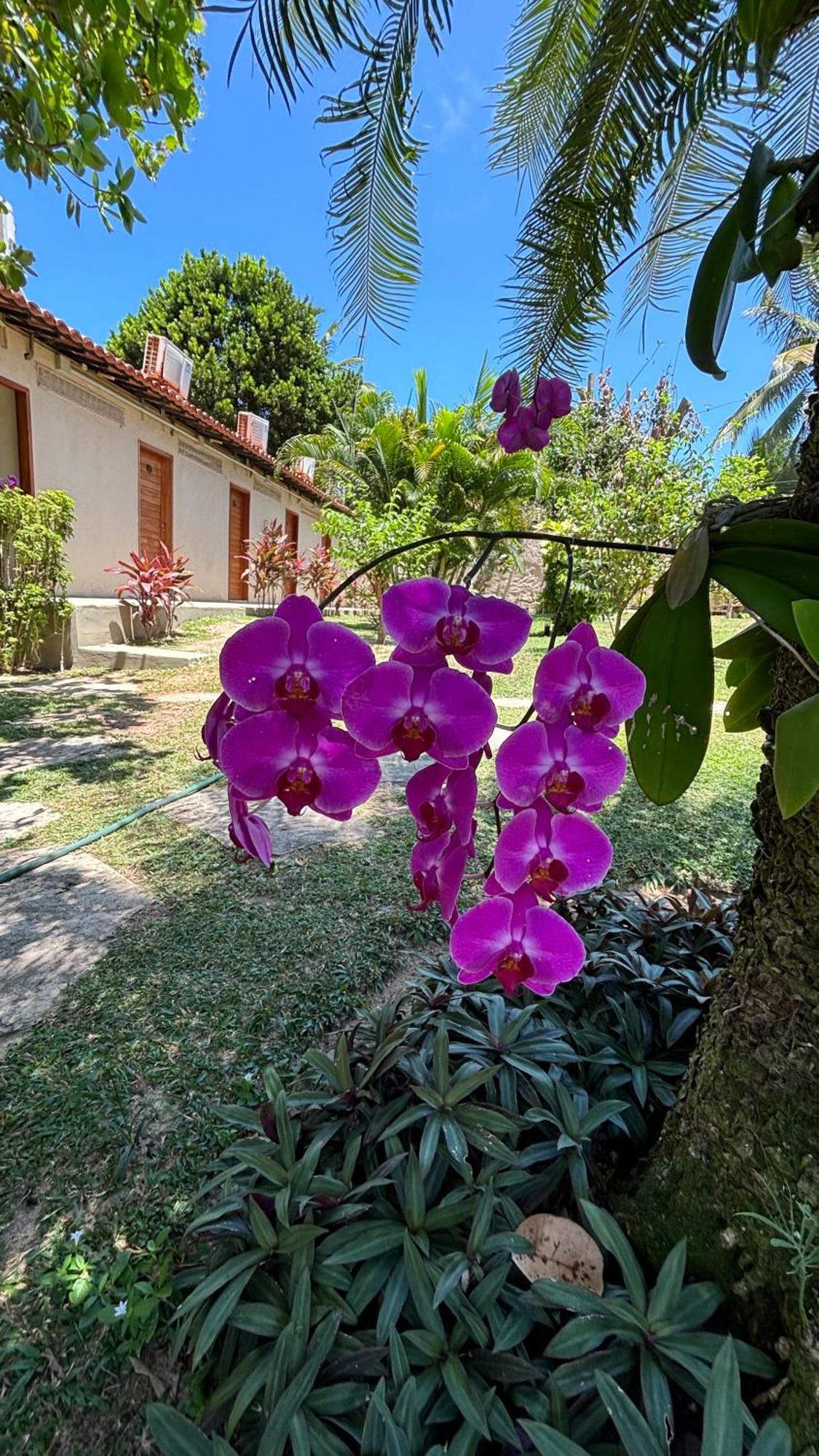 Hotel Da Pipa Praia de Pipa Exterior foto